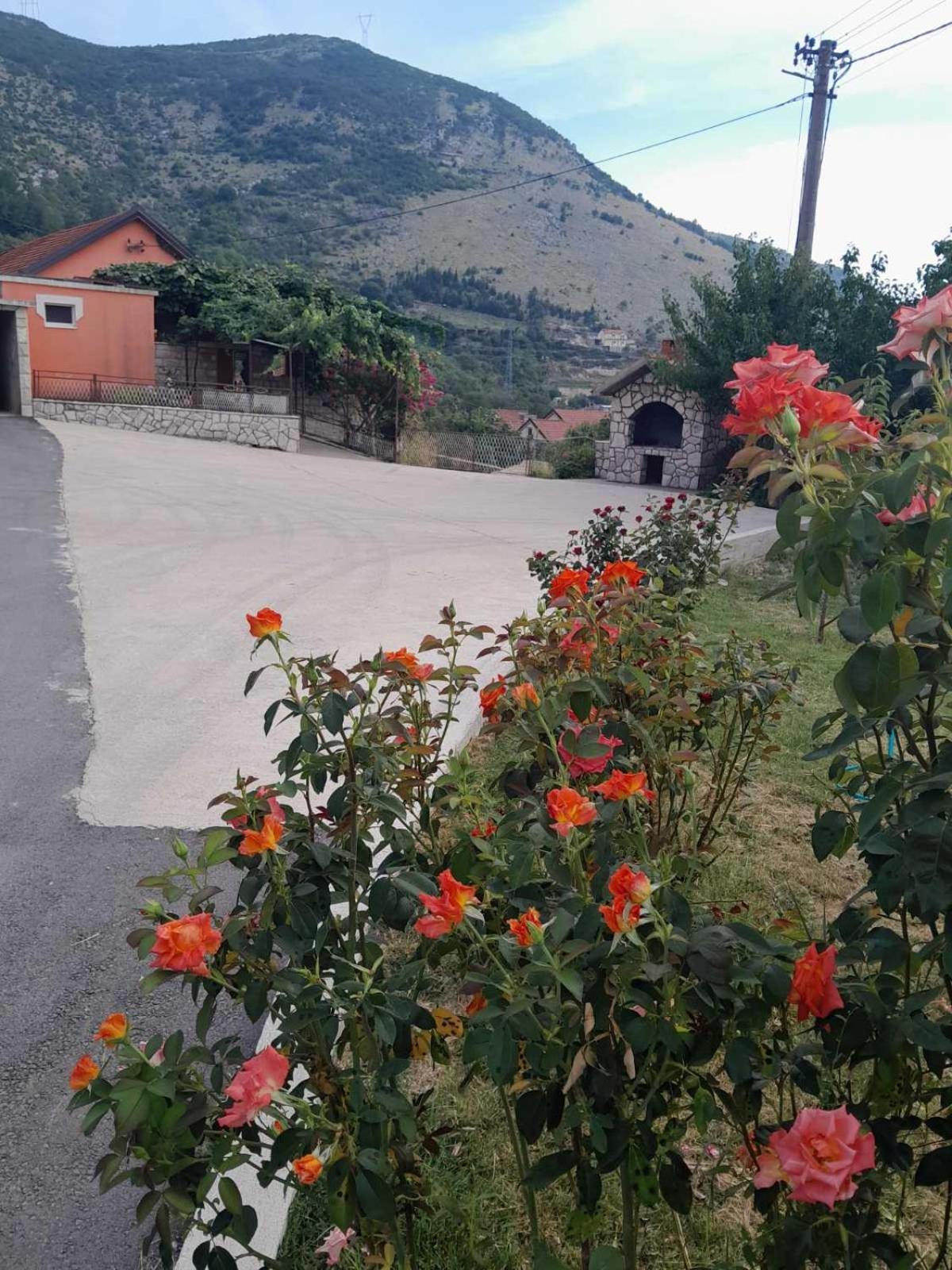 Apartman Vlacic Trebinje Eksteriør billede